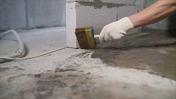 24/7 Emergency Wet Basement Repair experts in Maize, KS